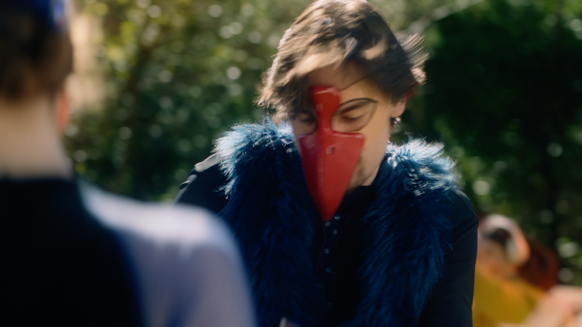 DOC Predator Free 2050